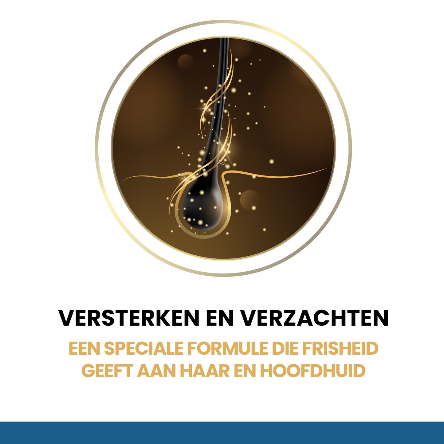 BATCI® Anti Oily Sebum Balancing Shampoo With Aloe Vera Extract 500 ML